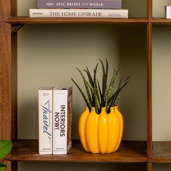 jarrón decorativo amarillo con planta verde en estantería