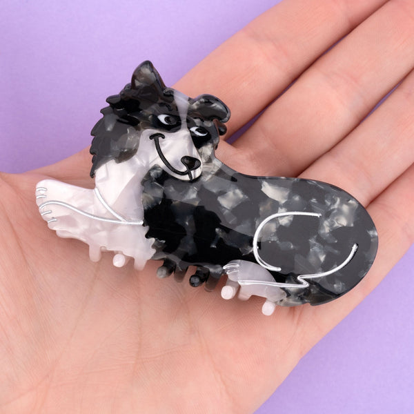 Pinza para el pelo Border Collie