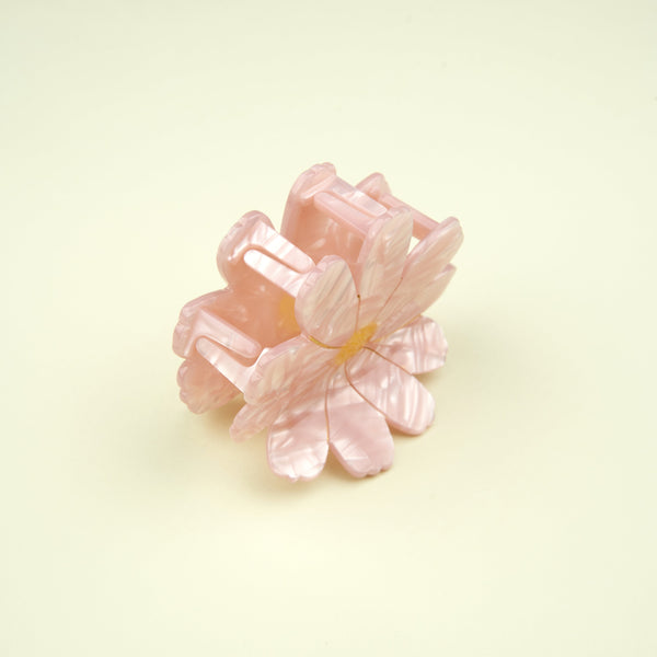 Vista lateral de la pinza flor Cosmos rosa Coucou Suzette sobre fondo crema