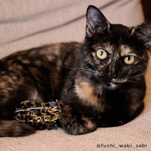 gato tricolor junto a pinza de pelo Coucou Suzette en forma de gato