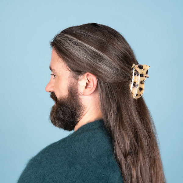 Pinza para el pelo gato tabby Brocantia