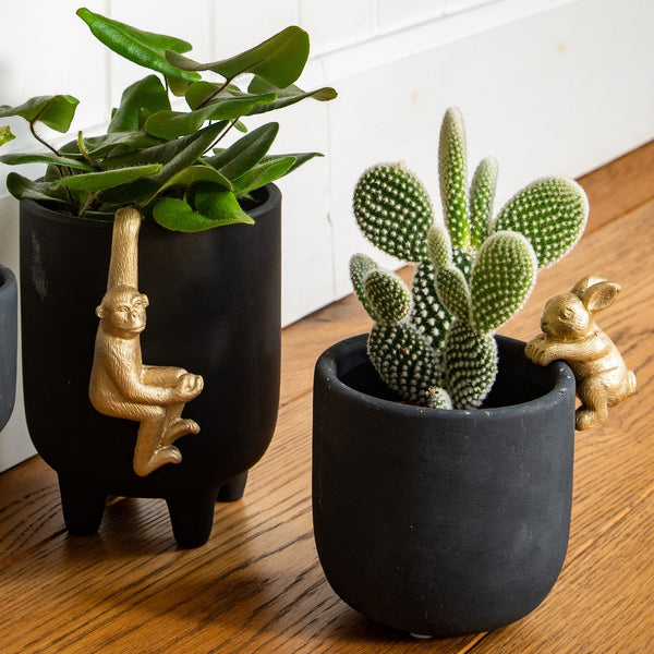 Mono colgante para lámparas o maceteros Brocantia