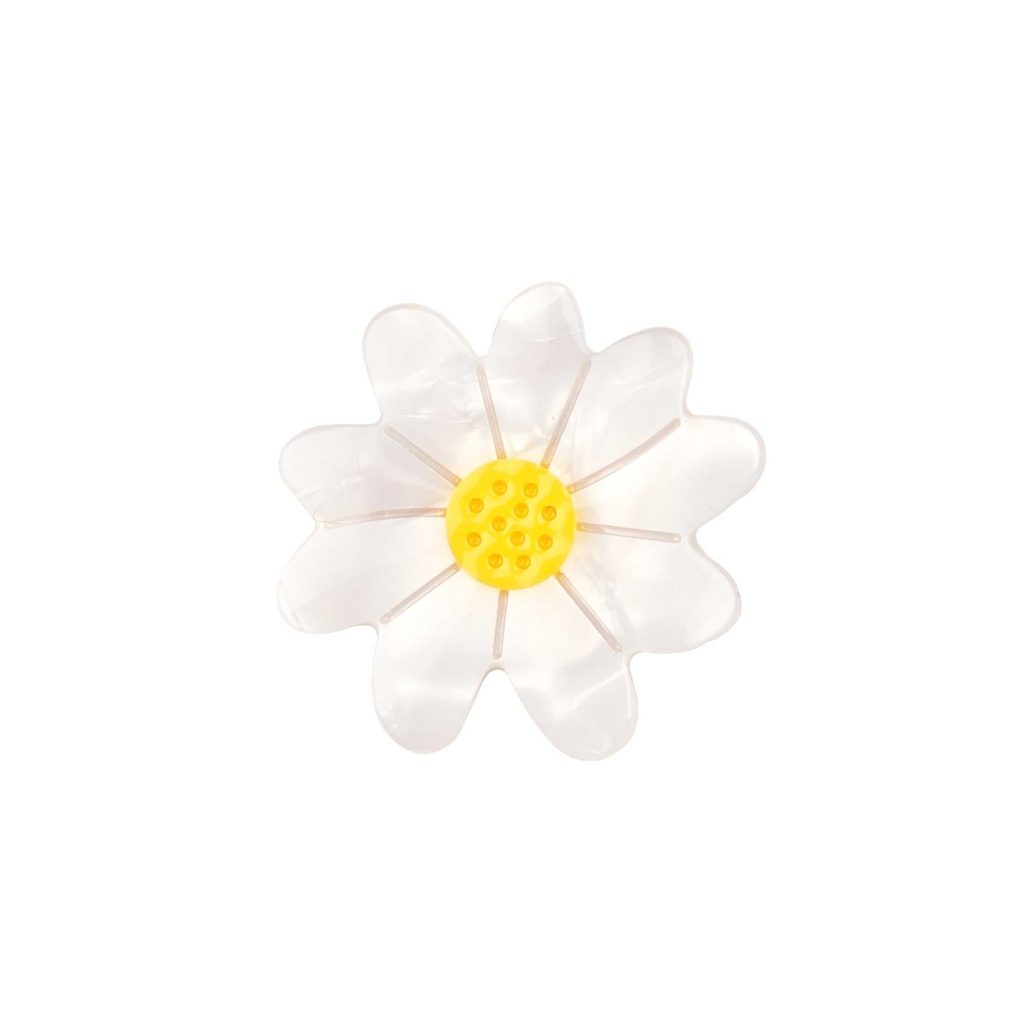 Broche margarita blanca Coucou Suzette sobre fondo blanco