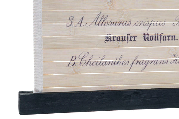 Cartel tablas madera botánico (modelo 1)
