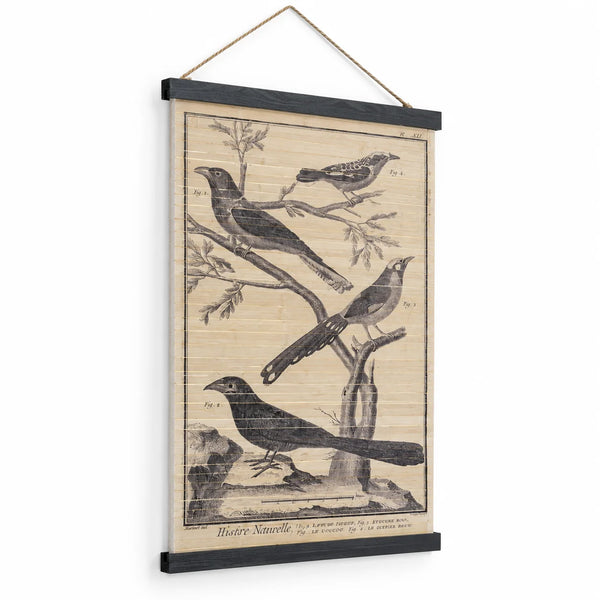 Vista en perspectiva del cartel de tablas de madera con ilustraciones ornitológicas de estilo antiguo