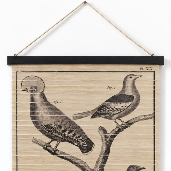 Detalle del cartel vintage de pájaros con ilustraciones antiguas sobre madera y listón negro