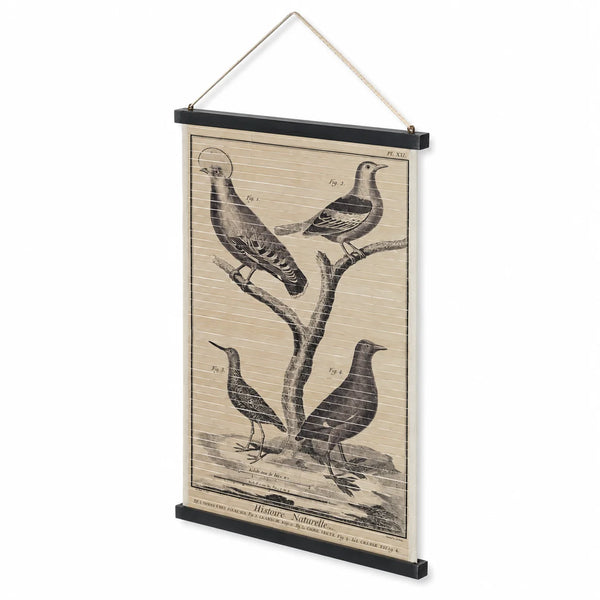 Vista en perspectiva del cartel de madera con cuatro pájaros y estética de historia natural