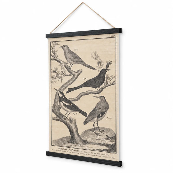 Vista lateral del cartel de madera con cuatro aves inspirado en antiguas láminas de historia natural