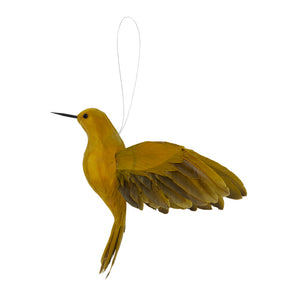 Colibrí plumas ocre