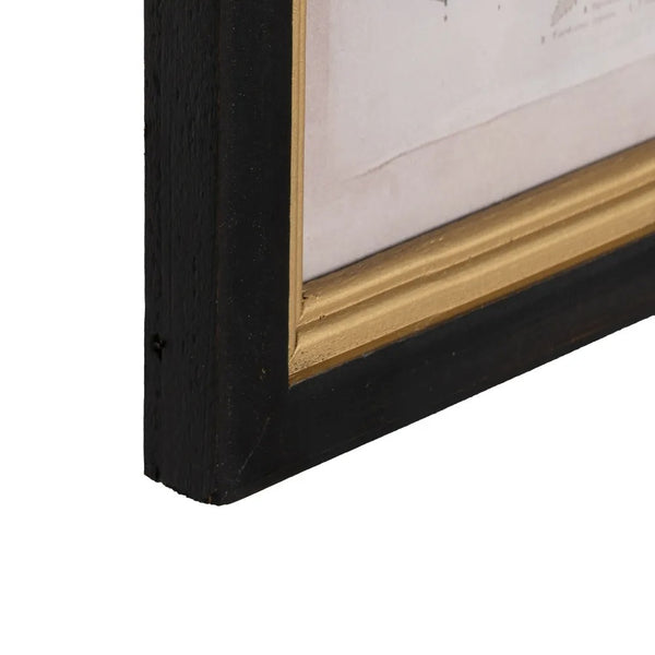 detalle del marco negro con moldura dorada en cuadro botánico