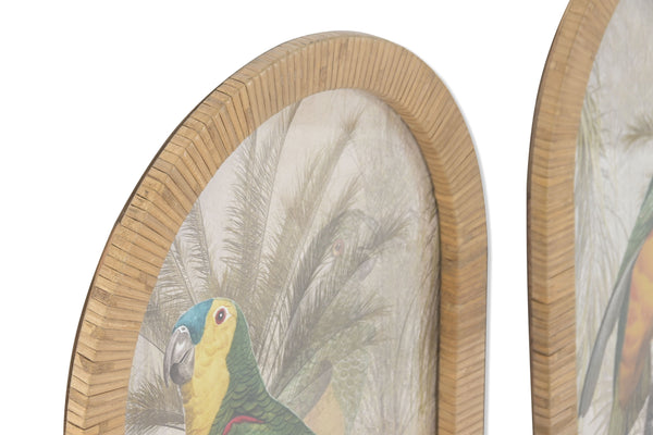 Ilustración vintage de loro en entorno selvático