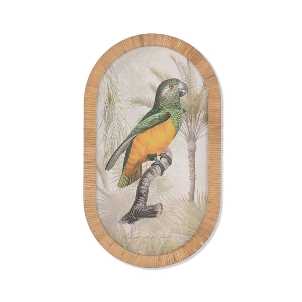 Cuadro loro tropical con marco de ratán natural