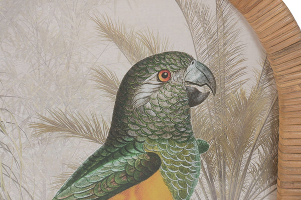 Primer plano de loro ilustrado en entorno selvático