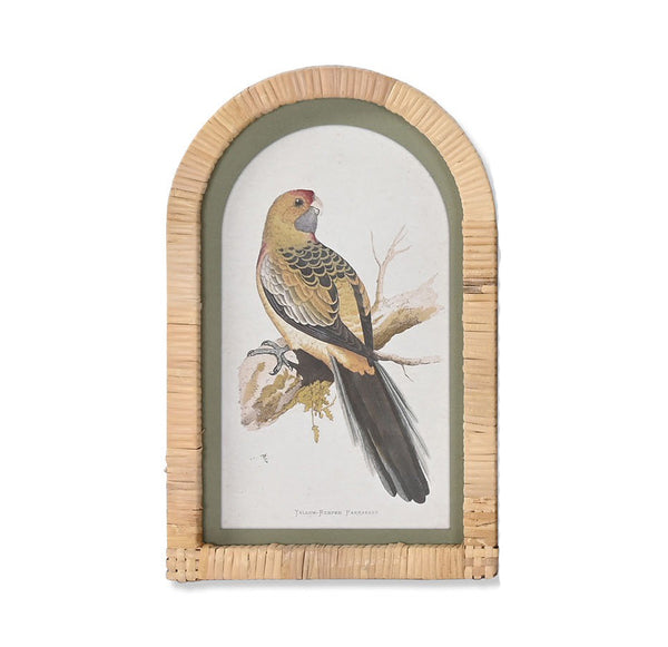 Cuadro decorativo con loro de lomo amarillo estilo vintage