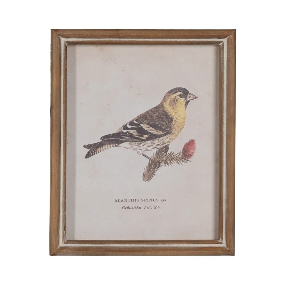 cuadro vintage de ave con marco de madera
