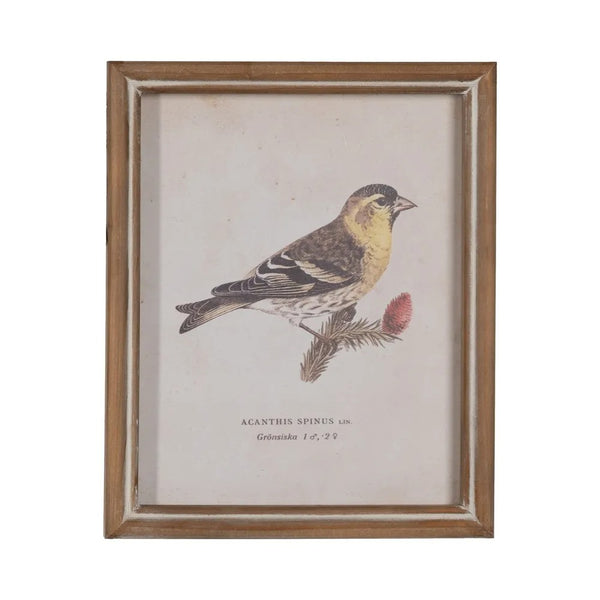 cuadro vintage de ave con marco de madera