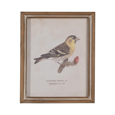 cuadro vintage de ave con marco de madera