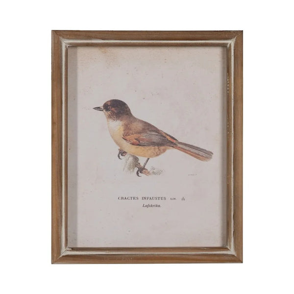 cuadro Cractes Infaustus vintage con marco rústico