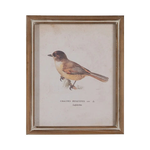 cuadro Cractes Infaustus vintage con marco rústico