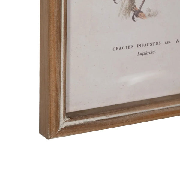 detalle arco de madera envejecida cuadro ornitológico