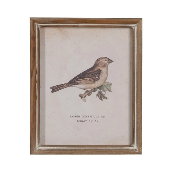 cuadro Passer Domesticus vintage con marco de madera