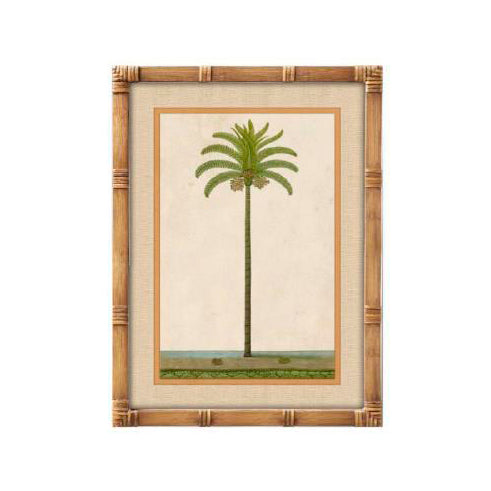 Cuadro botánico de palmera tropical con marco efecto bambú