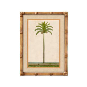 Cuadro botánico de palmera tropical con marco efecto bambú
