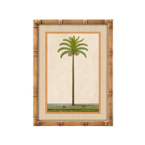 Cuadro botánico de palmera tropical con marco efecto bambú