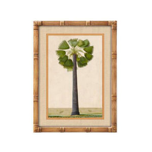 Cuadro decorativo botánico de palmera con marco efecto bambú