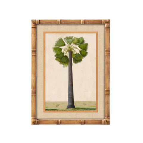 Cuadro decorativo botánico de palmera con marco efecto bambú