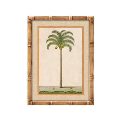 Cuadro decorativo palmera tropical con marco efecto bambú