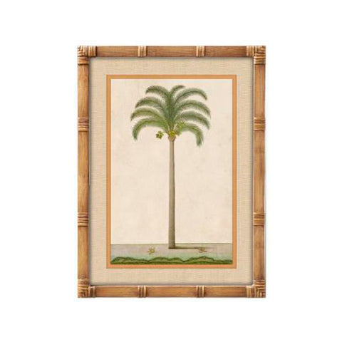 Cuadro decorativo palmera tropical con marco efecto bambú