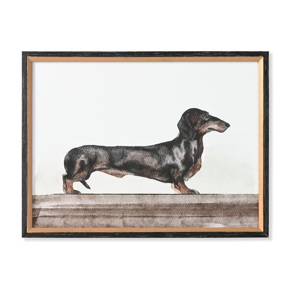 Cuadro decorativo perro salchicha vintage