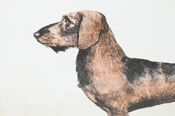 Ilustración artística de perro teckel para pared