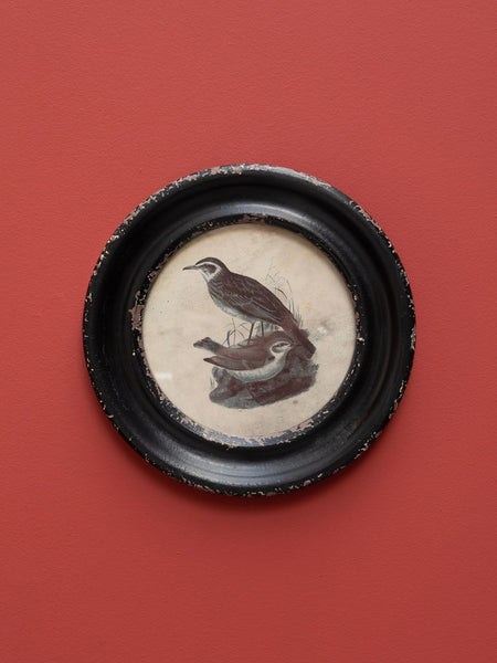 Cuadro redondo de mirlos estilo vintage colocado sobre pared color terracota.