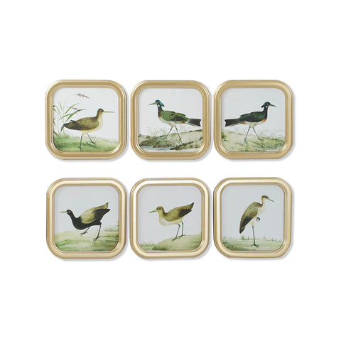 Cuadro cuadrado aves Brocantia