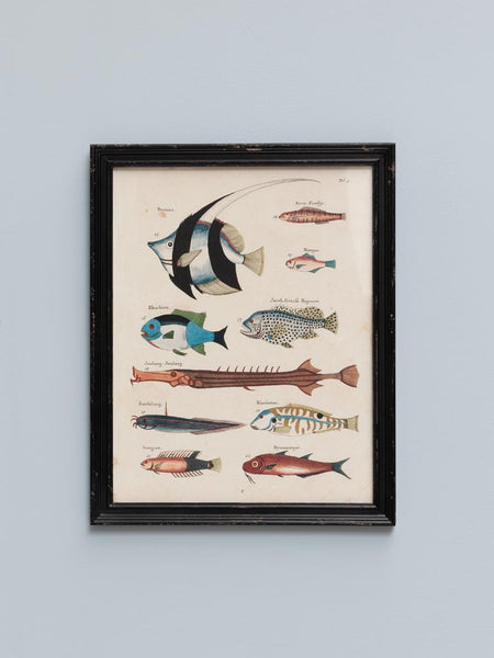 Cuadro peces Louis Renard Brocantia