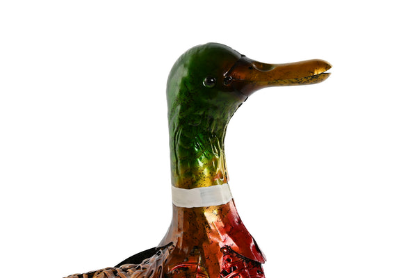 Figura pato tonos verdes