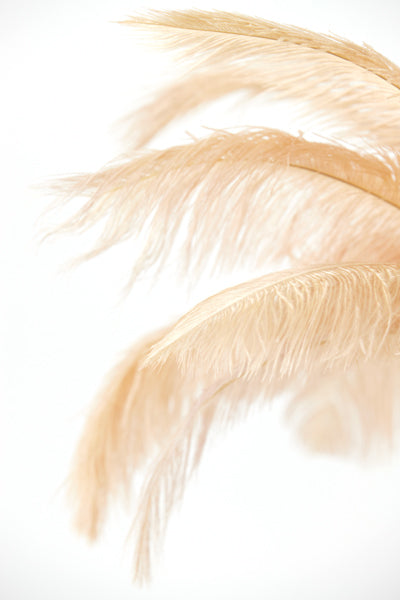 Lámpara plumas
