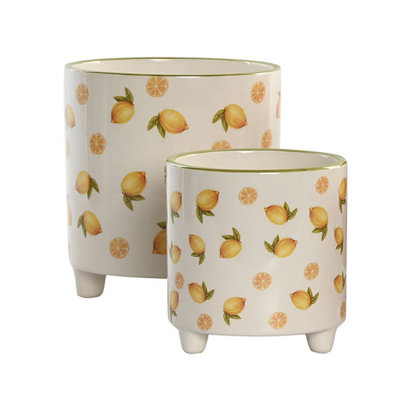 Dos macetas con limones de diferente tamaño (venta individual), estilo mediterráneo
