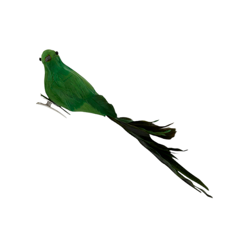 Pájaro clip plumas verdes