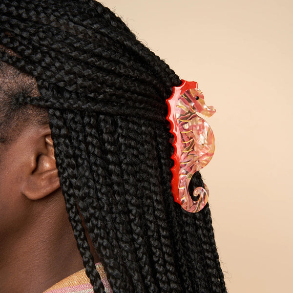 Pinza de pelo Caballito de Mar Coucou Suzette colocada sobre trenzas negras.