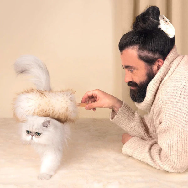 Pinza para el pelo de gato persa blanco colocada en un moño alto como accesorio original.