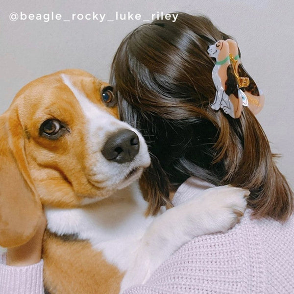 Pinza para el pelo Beagle