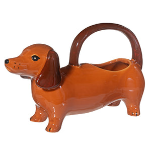 Regadera dachshund