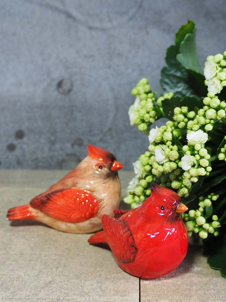 Salpimentero pájaros rojos