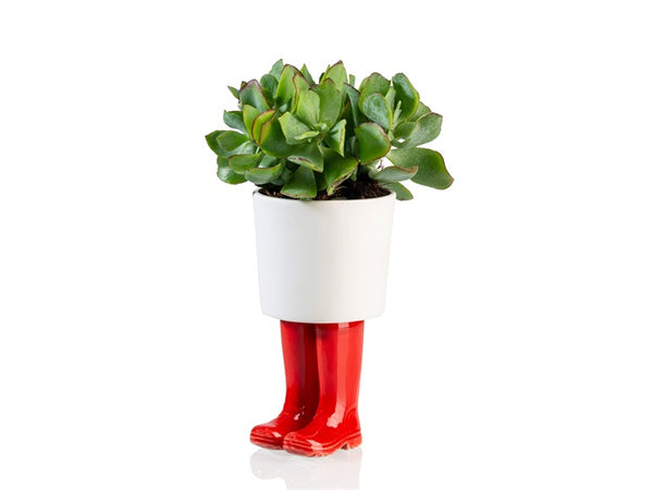Macetero botas Wellington rojas