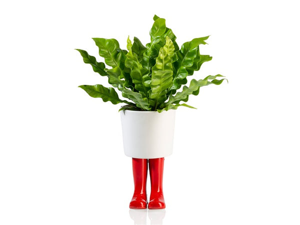 Macetero botas Wellington rojas