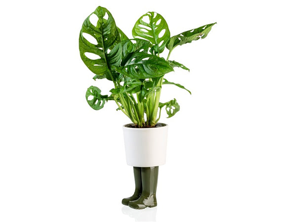 Macetero botas Wellington verdes Brocantia