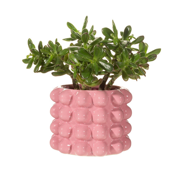 Macetero bubble rosa